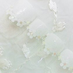 画像1: ネイルチップ