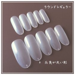 画像1: サンプルチップ【ラウンドレギュラー】