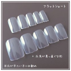画像1: サンプルチップ【フラットショート】