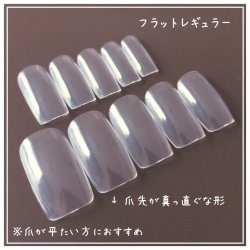 画像1: サンプルチップ【フラットレギュラー】
